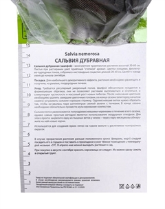 Сальвия дубравная (Шалфей) Шнеехёгль, р-р I, 1 шт, Осень 2025 Поиск