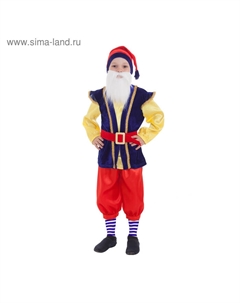 Карнавальный костюм «Гном синий», р. 32, рост 122-128 см Страна карнавалия