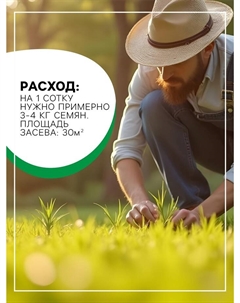 Газонная травосмесь «Красотень», «Гном» 1 кг Поспелов