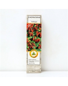 Ежемалина (Ежевика) "Тейберри (малина х ежевика)", саженец, плодовый, 1 шт., туба Поиск