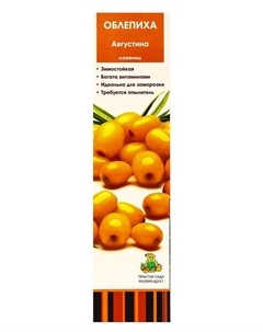 Облепиха «Августина», туба, 1 шт. Поиск