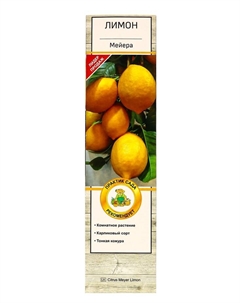 Цитрус «Лимон Мейера», туба, 1 шт. Поиск