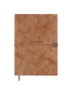 Ежедневник датированный 2025, А5, 176 листов ESCALADA, мягкая обложка из искусственной кожи, блинтовое тиснение, ляссе, блок 70 г/м2, бежевый Feniks