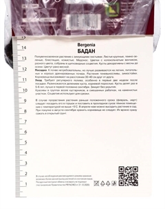 Бадан гибридный «Брессингем Вайт», корневище в пакете с торфогрунтом, р-р I, 1 шт. Поиск
