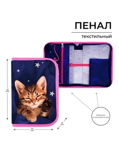 Пенал школьный, 1 секция, 14×21×4 см «Котик» Calligrata
