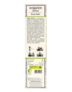 Буддлея Давида «Блэк Найт», саженец, туба, 1 шт. Поиск