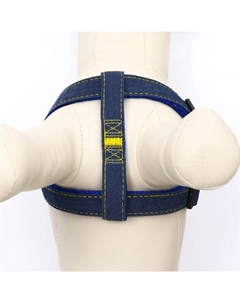 Шлейка «Джинс», синий подклад, ширина 2 см, ОШ 45-70 см, ОГ 45-70 см Пижон