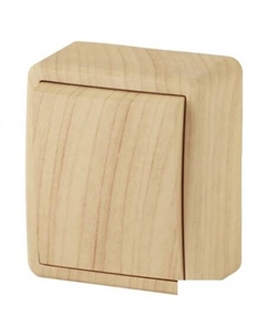 Выключатель 11-1203-11 Эра