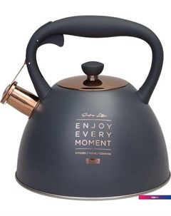 Чайник со свистком 914-156 Agness