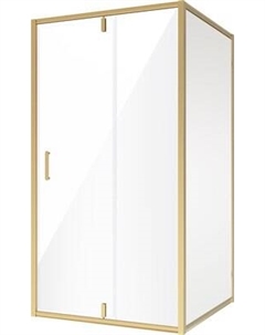 Душевой уголок Niagara NG-43-11AG-A80G 110x80x195