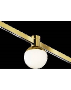 Трековый светильник Maytoni TR149-1-5W3K-BS