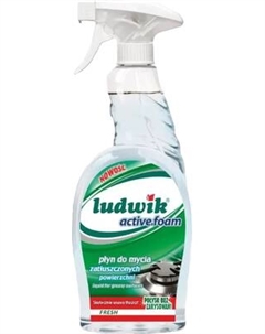Чистящее средство для кухни Active Foam Fresh для замасленных поверхностей Ludwik