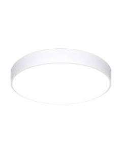 Потолочный светильник Евросвет 90320/1