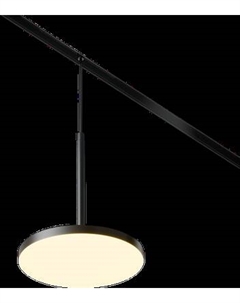 Трековый светильник Maytoni Plato TR123-2-15W3K-B