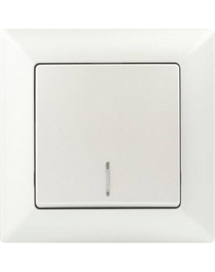 Выключатель INTRO Solo 4-102-06 / Б0053568 Intro