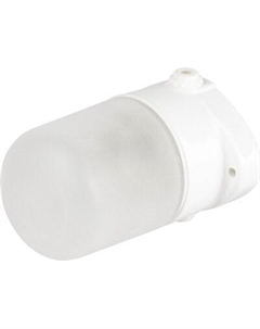 Светильник ЖКХ ЭРА НББ 02-60-001 / Б0064005 Эра