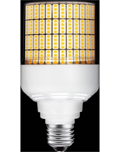 Лампа светодиодная T75 30Вт E27 3000K AC100-265V Cps