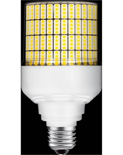 Лампа светодиодная T75 30Вт E27 5000K AC100-265V Cps