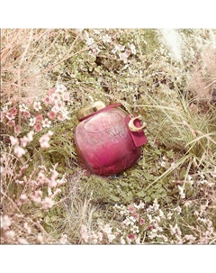 Парфюмерная вода Wild Rose 50 Coach