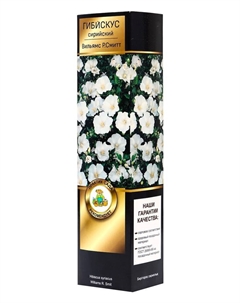 Гибискус сирийский "Люкс Вильямс Р.Смитт", саженец, туба, 1 шт. Поиск