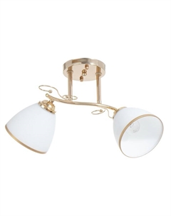 Люстра 2025/2 E27 60Вт золото 46х28х26 см Bayerlux