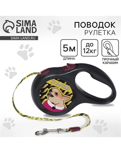 Рулетка для собак «Не погулял» 5 м, вес животного до 12 кг Пушистое счастье