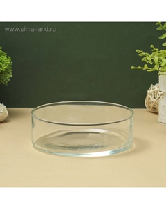 Ваза «Гранд», 500 мл, 5×15 см, стекло, прозрачная Evis