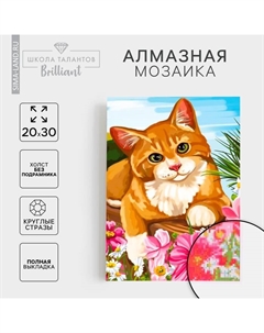 Алмазная мозаика с полным заполнением на холсте «Кот», 20 х 30 см Школа талантов