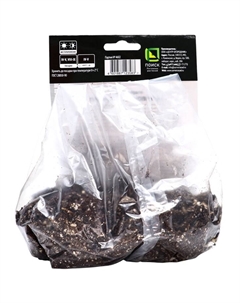 Примула Блу Зебра, р-р I, 1 шт, Весна 2025 Поиск