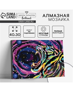 Алмазная мозаика с полным заполнением на подрамнике «Звёздный тигр», 30×40 см Школа талантов