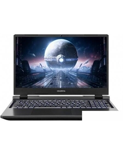 Игровой ноутбук Colorful Evol P15 24 A10205400052