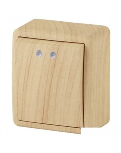 Выключатель 11-1202-11 Эра