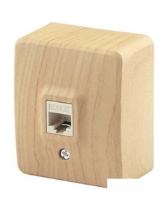 Розетка компьютерная Эксперт 11-3203-11 Б0020732 (сосна) Эра