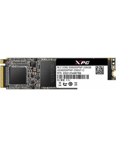 SSD XPG SX6000 Pro 256GB ASX6000PNP-256GT-C Adata