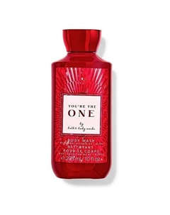 Гель для душа You're The One With Pro-Vitamin B5 + Aloe 295 Bath & body works