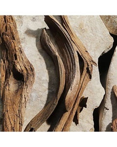 Туалетная вода Light Blue 100 Dolce&gabbana