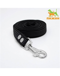 Поводок капроновый с латексной нитью, 2 м х 2,5 см, чёрный Пижон