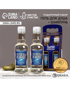 Подарочный набор «Удачи, богатства!», гель для душа и шампунь для волос водк, 2×250 мл Чистое счастье