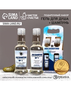 Подарочный набор «Абсолютно лучший»: гель для душа и шампунь для волос водка, 2×250 мл Чистое счастье