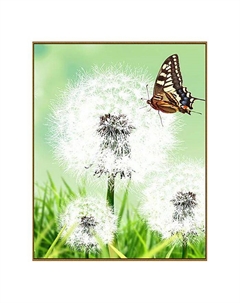 Алмазная мозаика «Одуванчик», 27 цветов Milato