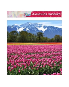 Алмазная мозаика «Горный пейзаж», 40×50 см, без подрамника, частичное заполнение Centrum