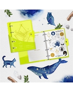 Тетрадь на кольцах А5 120 листов в клетку "NEON. YELLOW", со сменным блоком, пластиковая обложка, с наклейками Lorex