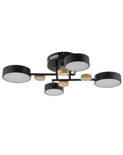 Люстра с ПДУ 2297/4BK LED 96 Вт 3000-6000К черный 63×46×14 см Bayerlux