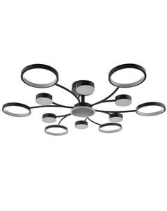 Люстра с ПДУ 2299/13BK LED 256 Вт 3000-6000К черный 106×106×18 см Bayerlux