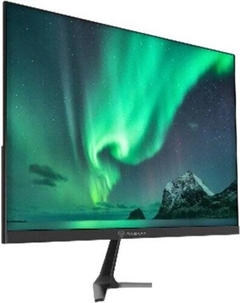 Монитор V19H6DA Raskat