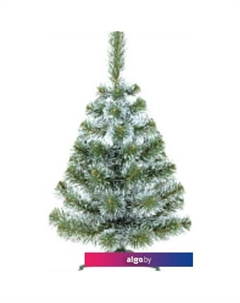 Ель Sosna с белыми кончиками 90 Erbis