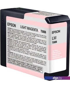 Картридж C13T580600 Epson