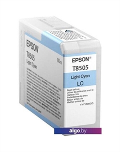 Картридж C13T850500 Epson