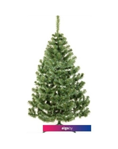 Сосна Sosna 150 Erbis