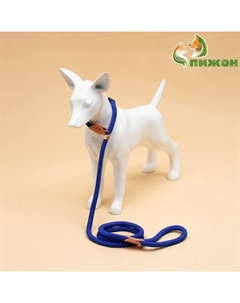 Поводок-удавка 150 х 1,2 см, полиэстер и натуральная кожа, синий Пижон